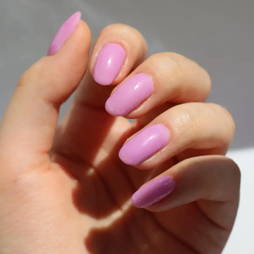 Lavender Mist - Image 6